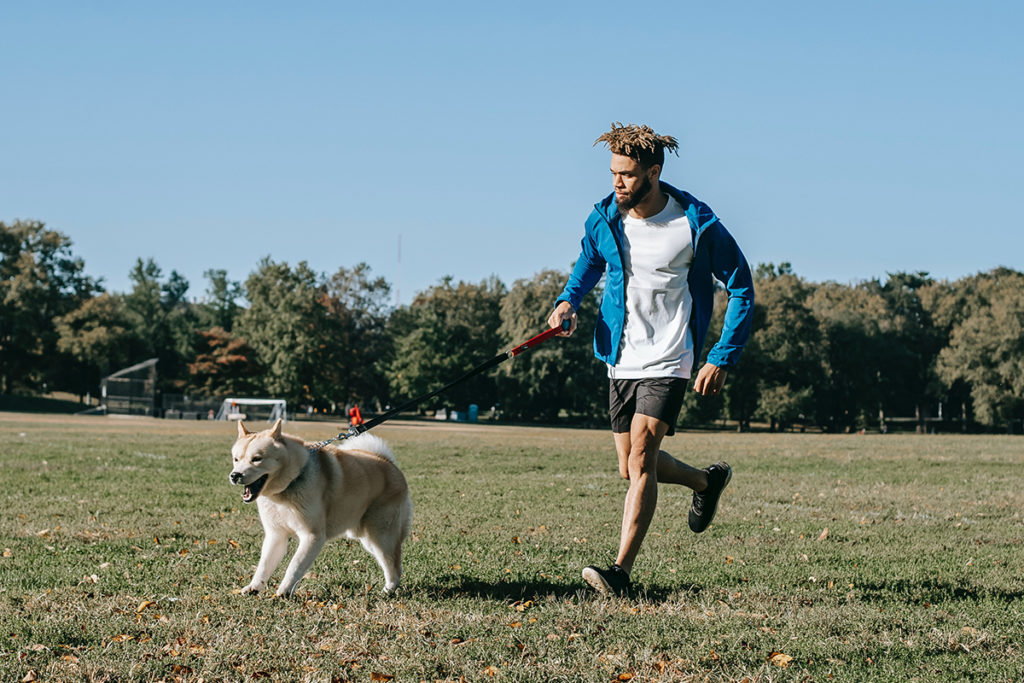 一个年轻人带着狗在公园里做适度运动