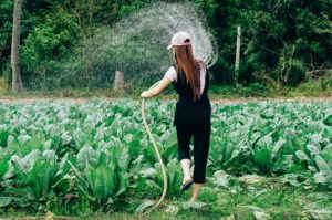 女人给菜园浇水使用功能训练
