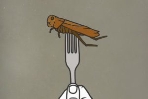 昆虫蛋白质虫子在叉子上
