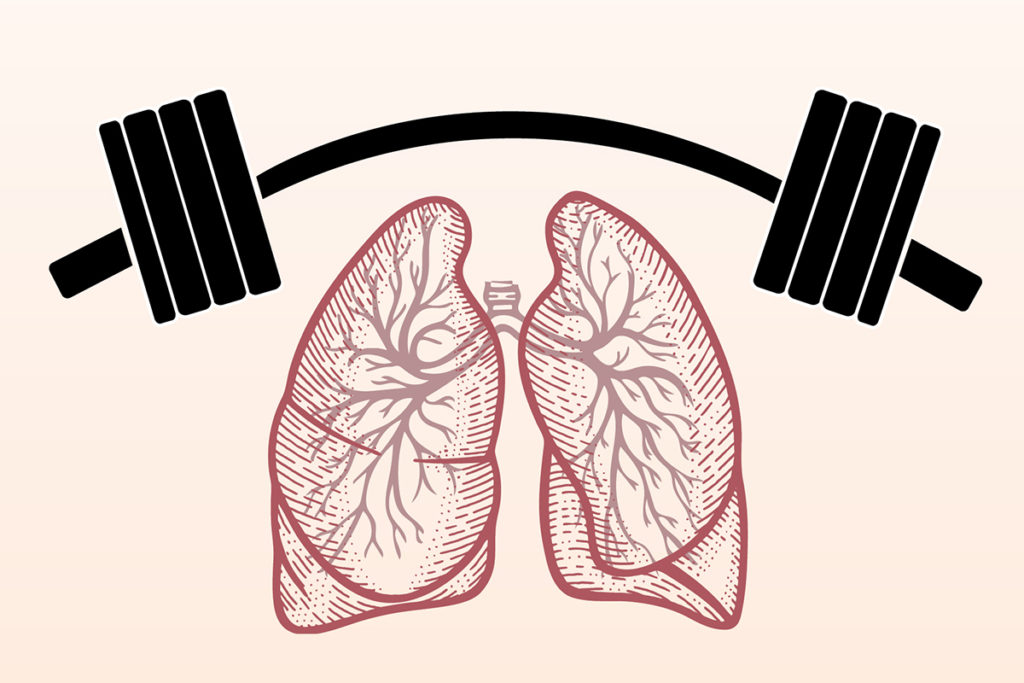 肺部图，上面有杠铃，显示IMST呼吸强化的好处