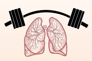 肺的图片，上面有杠铃，显示IMST呼吸的增强效果