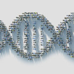 组成DNA的人群代表健身遗传学