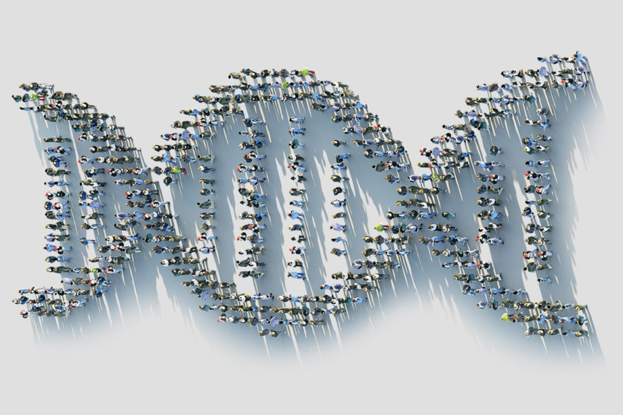 一群人组成DNA来代表健康遗传学
