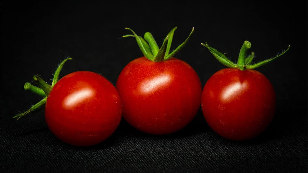 番茄是维生素d的食物