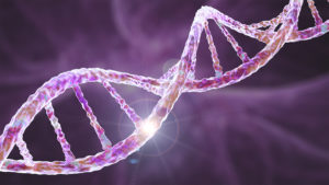 插图的DNA链显示遗传性格