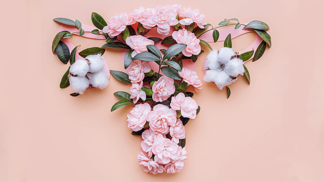 花作为女性的生殖器官，代表心态和更年期