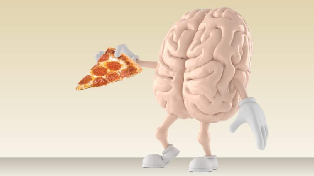 食物的图片和你的大脑
